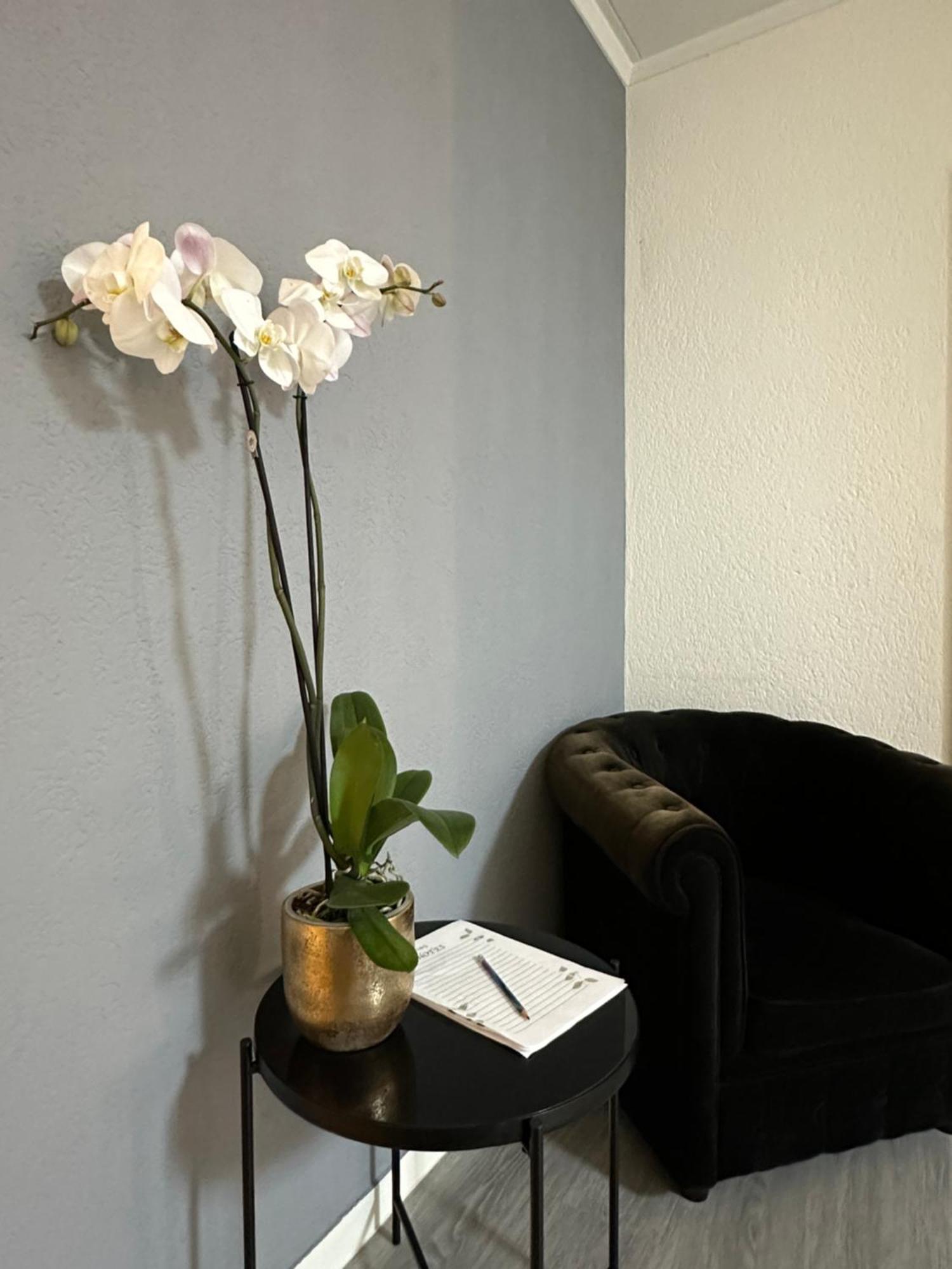 Lindo Apartamento En El Centro De Лозанна Экстерьер фото